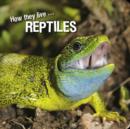 How they live... Reptiles - eBook
