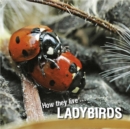 How they live... Ladybirds - eBook