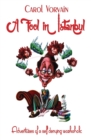 A Fool in Istanbul : Adventures of a self denying workaholic - Book