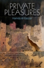 Private Pleasures : A Modern Egyptian Novel - Book