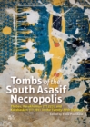 Tombs of the South Asasif Necropolis : Thebes, Karakhamun (TT 223), and Karabasken (TT 391) in the Twenty-fifth Dynasty - Book