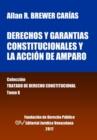 Derechos y garantias constitucionales y la accion de amparo. Tomo X. Coleccion Tratado de Derecho Constitucional - Book