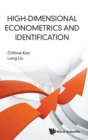 High-dimensional Econometrics And Identification - Book