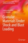 Granular Materials Under Shock and Blast Loading - Book