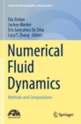 Numerical Fluid Dynamics : Methods and Computations - Book