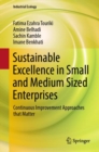 Sustainable Excellence in Small and Medium Sized Enterprises : Continuous Improvement Approaches that Matter - Book