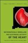 Mathematically Modelling The Electrical Activity Of The Heart: From Cell To Body Surface And Back Again - Book