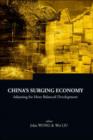 China's Surging Economy: Adjusting For More Balanced Development - Book