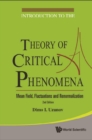 Introduction To The Theory Of Critical Phenomena: Mean Field, Fluctuations And Renormalization (2nd Edition) - eBook