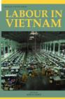 Labour in Vietnam - Book