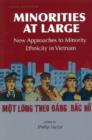 Minorities at Large : New Approaches to Minority Ethnicity in Vietnam - Book