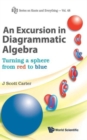 Excursion In Diagrammatic Algebra, An: Turning A Sphere From Red To Blue - Book
