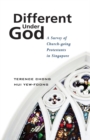 Different Under God : A Survey of Church-Going Protestants in Singapore - Book