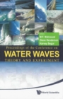 Water Waves: Theory And Experiment - Proceedings Of The Conference - eBook