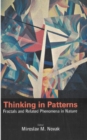 Thinking In Patterns: Fractals And Related Phenomena In Nature - eBook