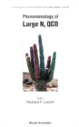 Phenomenology Of Large Nc Qcd - eBook