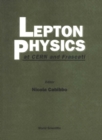 Lepton Physics At Cern And Frascati - eBook