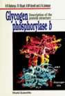 Glycogen Phosphorylase B: Description Of The Protein Structure - eBook