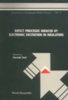 Defect Processes Induced By Electronic Excitation In Insulators - eBook