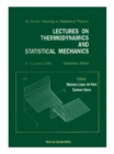 Lectures On Thermodynamics And Statistical Mechanics - Proceedings Of The Xx Winter Meeting On Statistical Physics - eBook