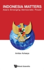 Indonesia Matters: Asia's Emerging Democratic Power - eBook