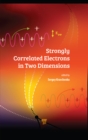 Strongly Correlated Electrons in Two Dimensions - eBook