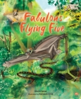 Fabulous Flying Five - Book