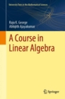 A Course in Linear Algebra - Book