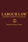 Labour Law: Principles and Practice in Cameroon - eBook
