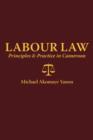 Labour Law : Principles and Practice in Cameroon - Book