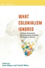 What Colonialism Ignored : African Potentials for Resolving Conflicts in Southern Africa - eBook