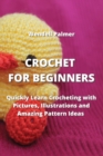Crochet for Beginners : Quickly Learn Crocheting with Pictures, Illustrations and Amazing Pattern Ideas - Book