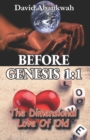 Before Genesis 1 : 1: The Dimensional Love Of Old - Book