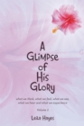 A Glimpse of His Glory : what we think, what we feel, what we see, what we hear and what we experience Volume 2 - eBook