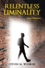 Relentless Liminality : (a few collections) - eBook