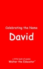 Celebrating the Name David - eBook