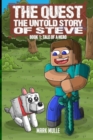 The Quest: The Untold Story of Steve Book 1 : The Tale of a Hero - eBook
