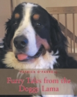Furry Tales from the Doggy Lama - eBook