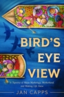 Bird's Eye View : A Tapestry of Maya Mythology, Motherhood, and Making Life Anew - eBook