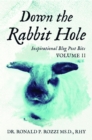 Down the Rabbit Hole : Inspirational Blog Post Bits Volume 2 - eBook