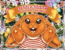 Little Bunnys Unforgettable Christmas - eBook