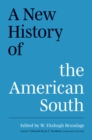 A New History of the American South - eBook