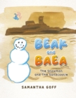 Beak and Baea : The Snowman and The Sandcastle - eBook