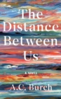 The Distance Between Us : A Novel - eBook