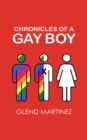 Chronicles of a Gay Boy : X - eBook