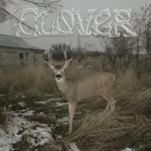Clover-image-0634457201330