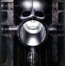 Brain Salad Surgery