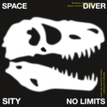 Space, Diversity, No Limits