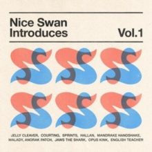 Nice Swan Introduces