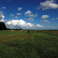 The Hilvarenbeek-image-7090029000269